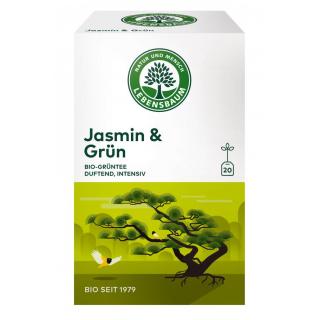 Jasmin und Grün TB