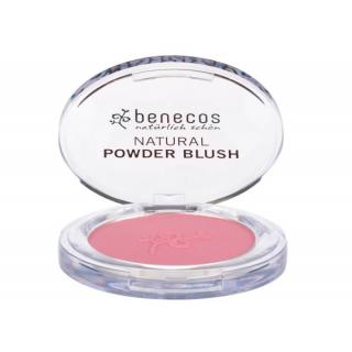 Compact blush mallow rose